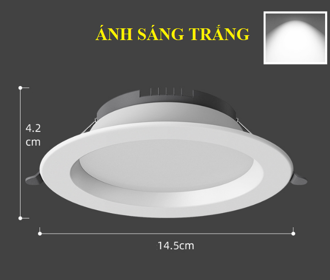 Đèn LED âm trần thạch cao sảnh showroom CRI 12W 6000K