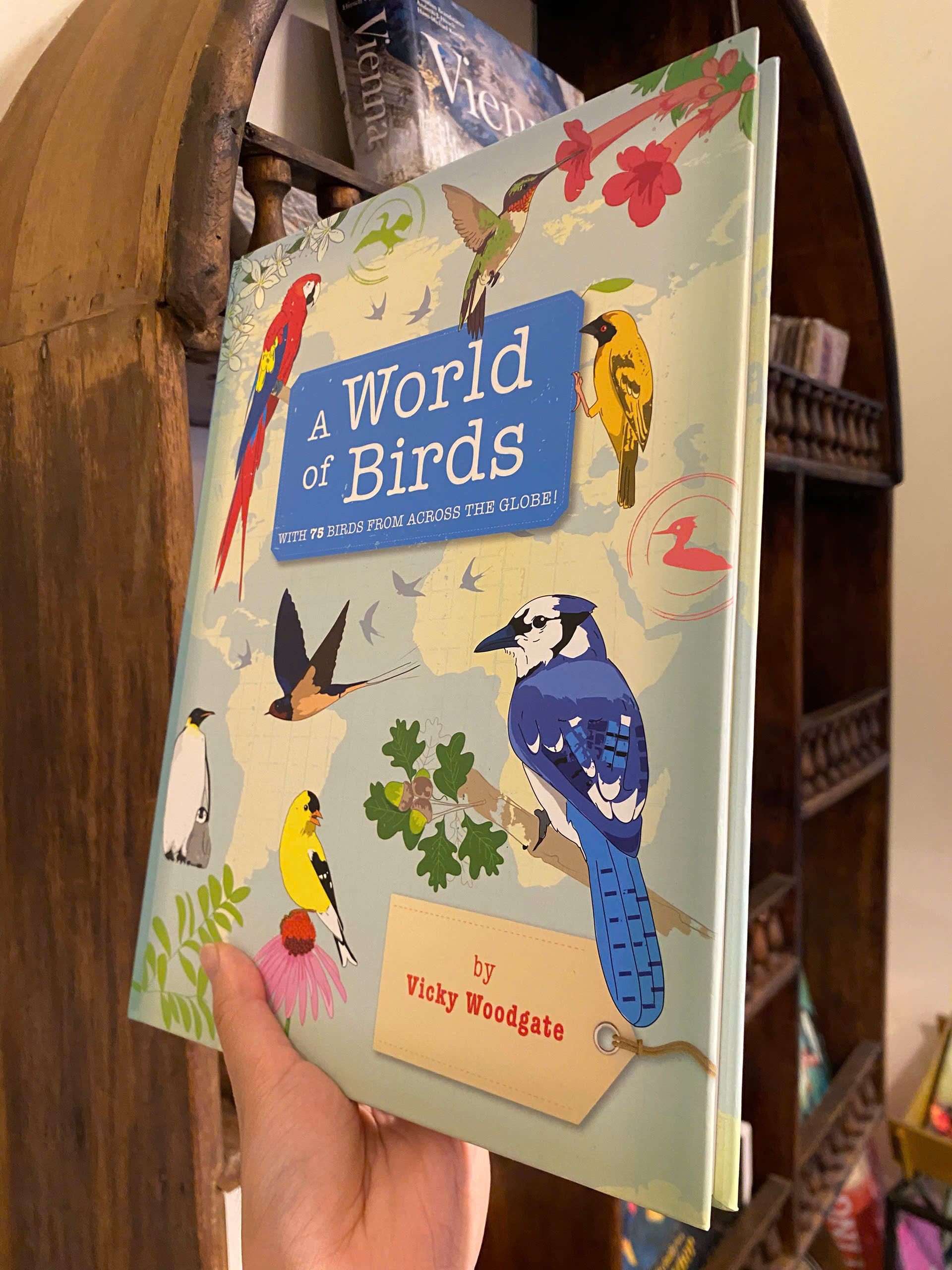 Sách - A World of Birds by Vicky Woodgate | Children's Science Picture Book | English Encyclopedia