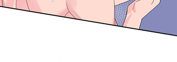 công chúa của loài chim chapter 50.1 283