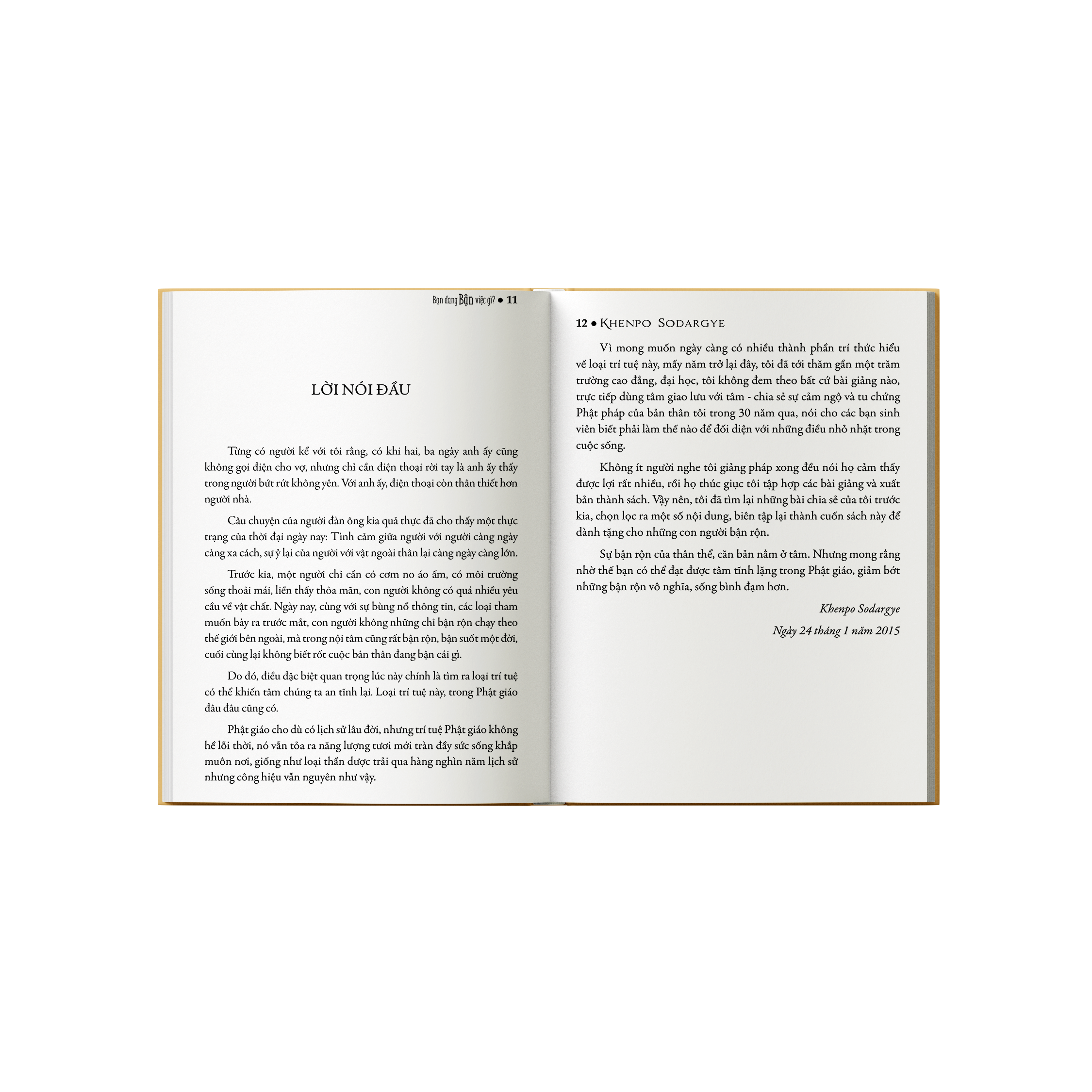 Sách Bạn Đang Bận Việc Gì - Sách Tôn Giáo, Nghệ Thuật và Văn Hóa, Tác Giả KHENPO SODARGYE - Á Châu Books, bìa mềm, in màu
