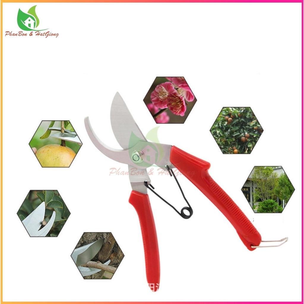 Kéo Cắt Tỉa Cành Cây, Kìm Tỉa Cây , Kéo Cộng Lực Cắt Cành SK-1 Nhập Khẩu, Kéo Cắt Tỉa Bonsai - Shop Phân Bón và Hạt Giống
