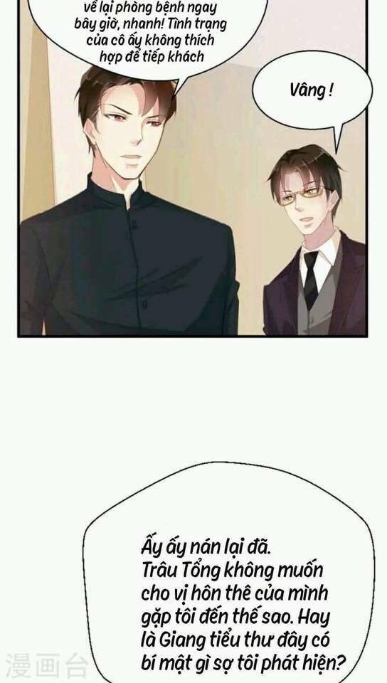 người vợ bí ẩn của tổng tài chapter 15 10