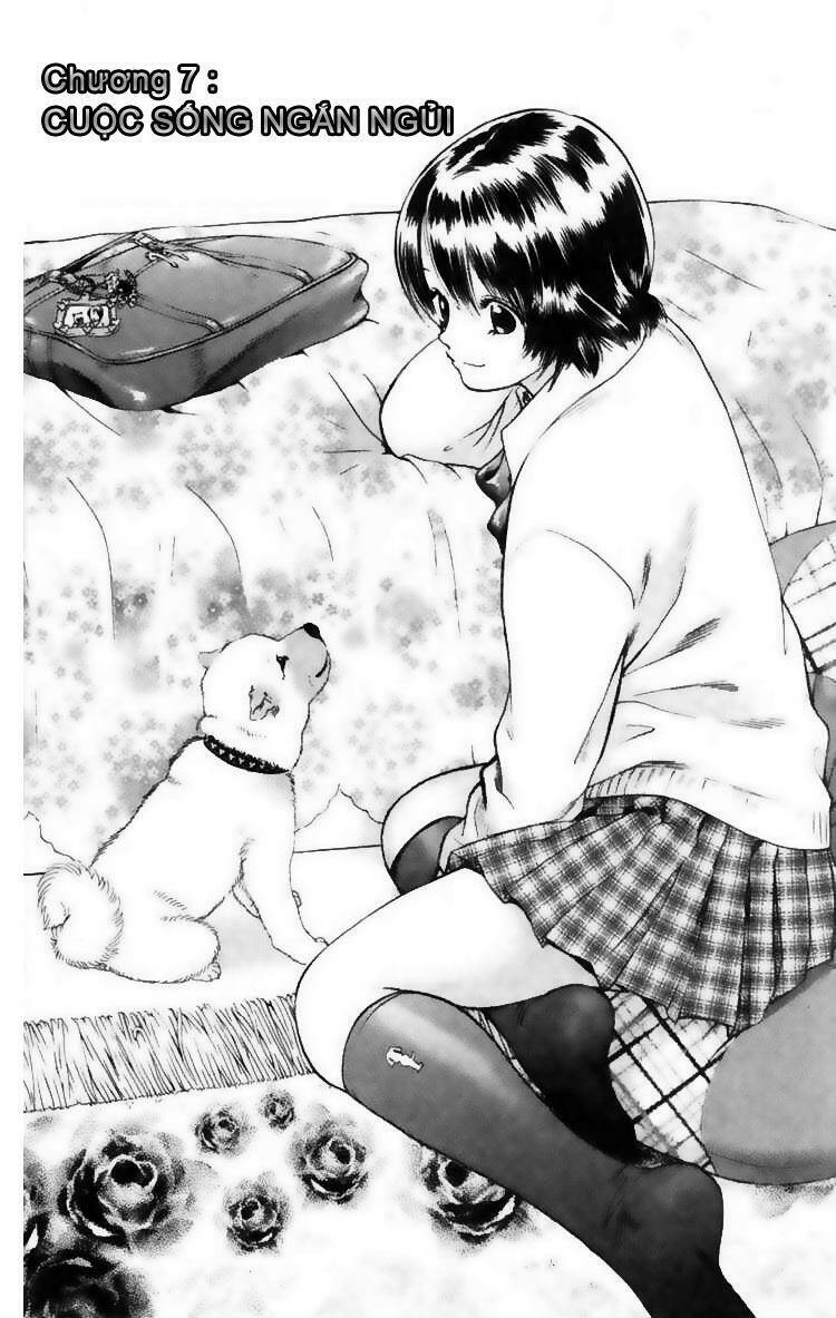 cô nàng yêu chó chapter 7 1