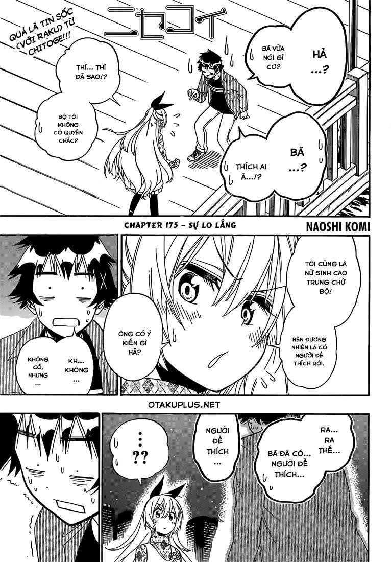 nisekoi - tình yêu giả tạo chapter 175 3