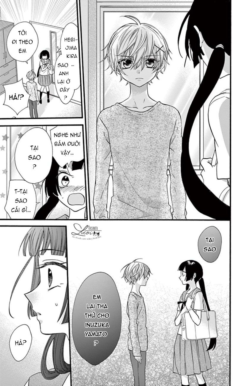 chàng rể giả nhân giả nghĩa chapter 20 19