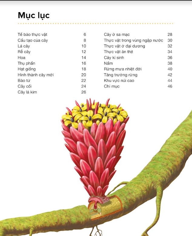 Hành Trình Khám Phá - Thực Vật