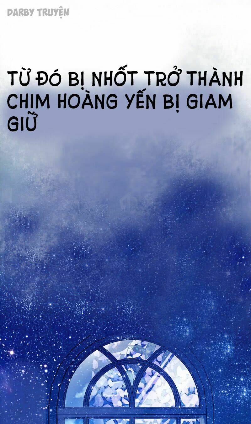 thần bí đế thiếu điềm sủng thê chapter 0 12