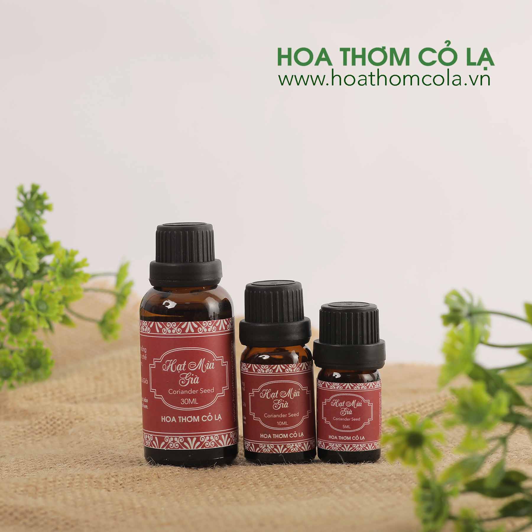 Tinh Dầu Hạt Mùi Già - Coriander Seed Essential Oil 10ml  - Hoa Thơm Cỏ Lạ