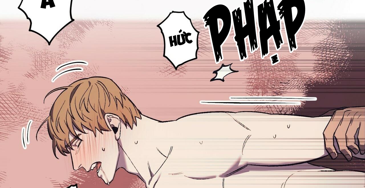 chàng dâu nhà họ kang chapter 17 145