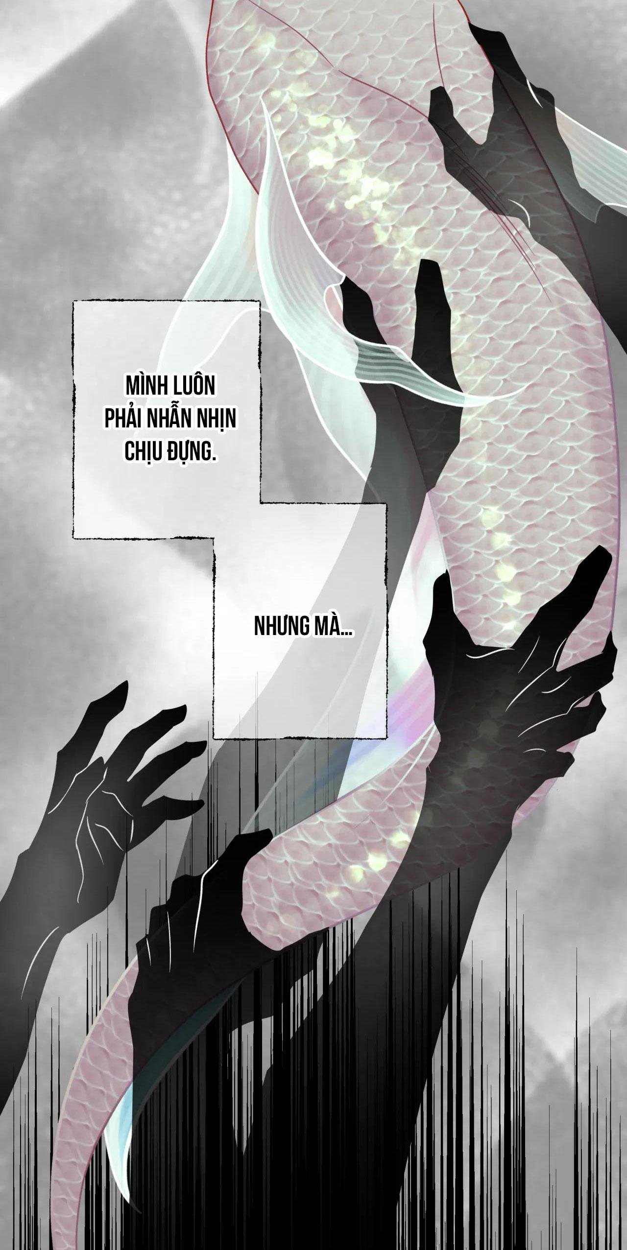 mỹ nhân ngư chapter 3 53