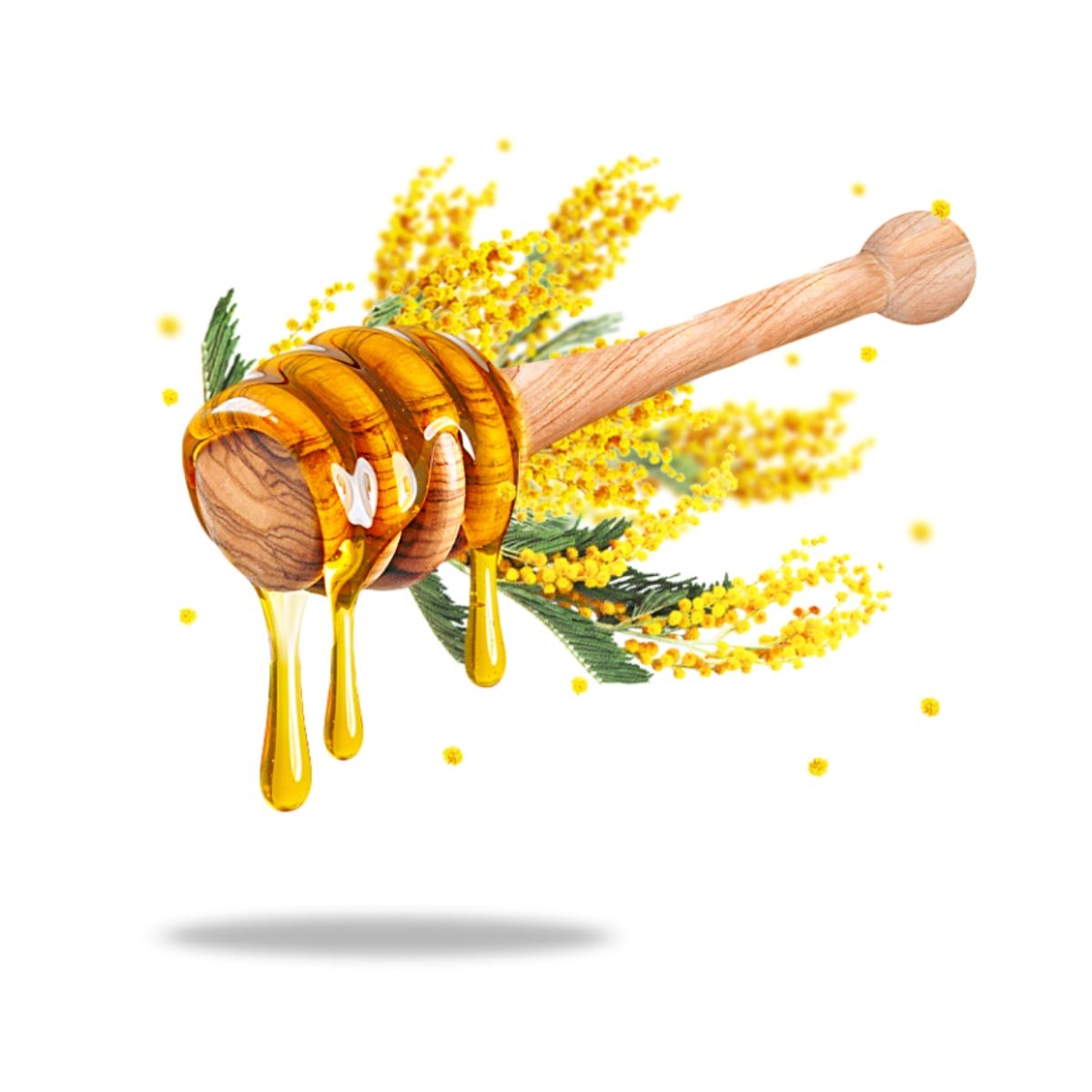 Mật Ong Hoa Keo Acacia Hữu Cơ Sottolestelle Organic Acacia Honey 280g