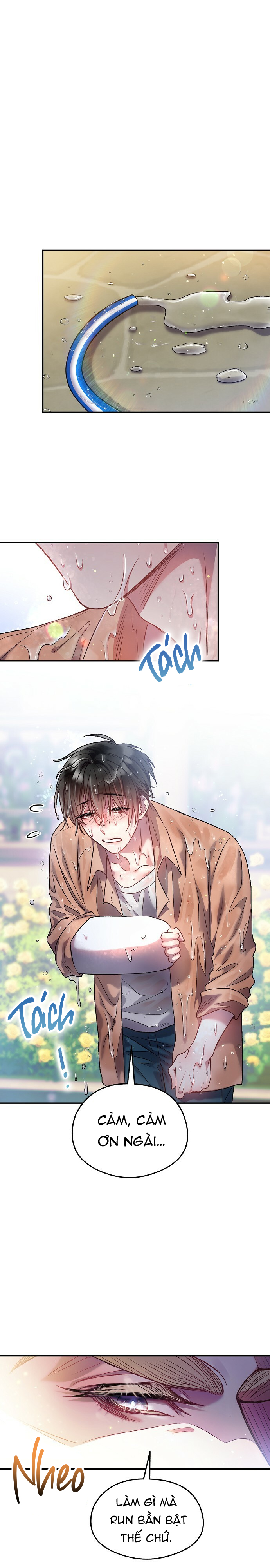 cơn mưa kẹo ngọt chapter 11 18