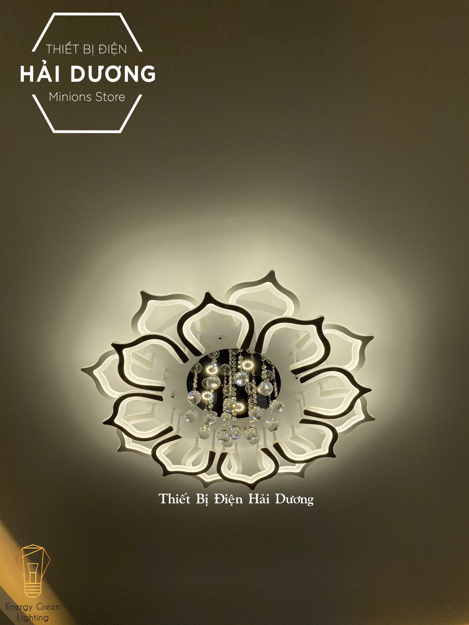 Đèn LED ốp trần hình hoa sen pha lê lấp lánh 16 cánh NT-033 - 3 Chế độ ánh sáng - Có điều khiển từ xa - Có Video