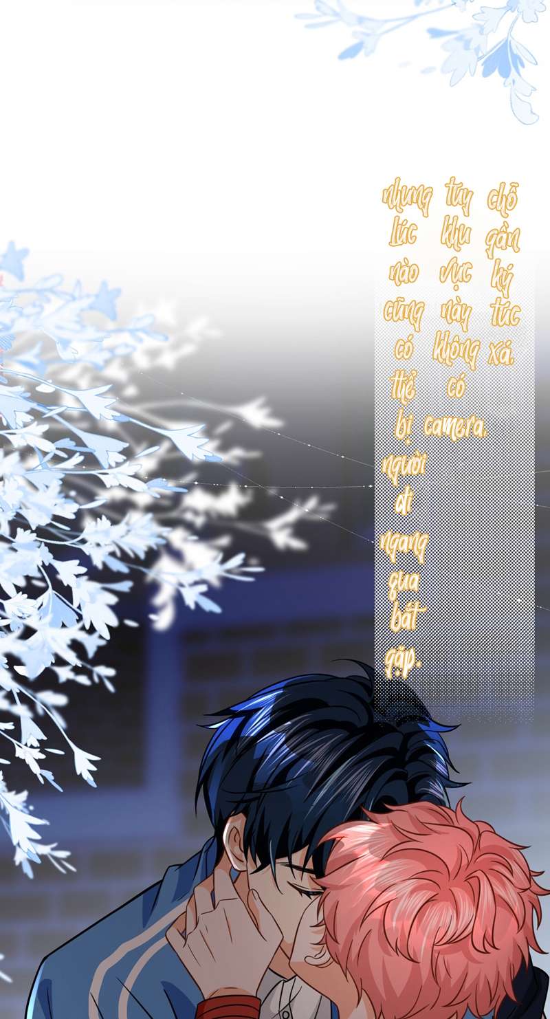 tín tức tố nói chúng ta không thể chapter 68 12