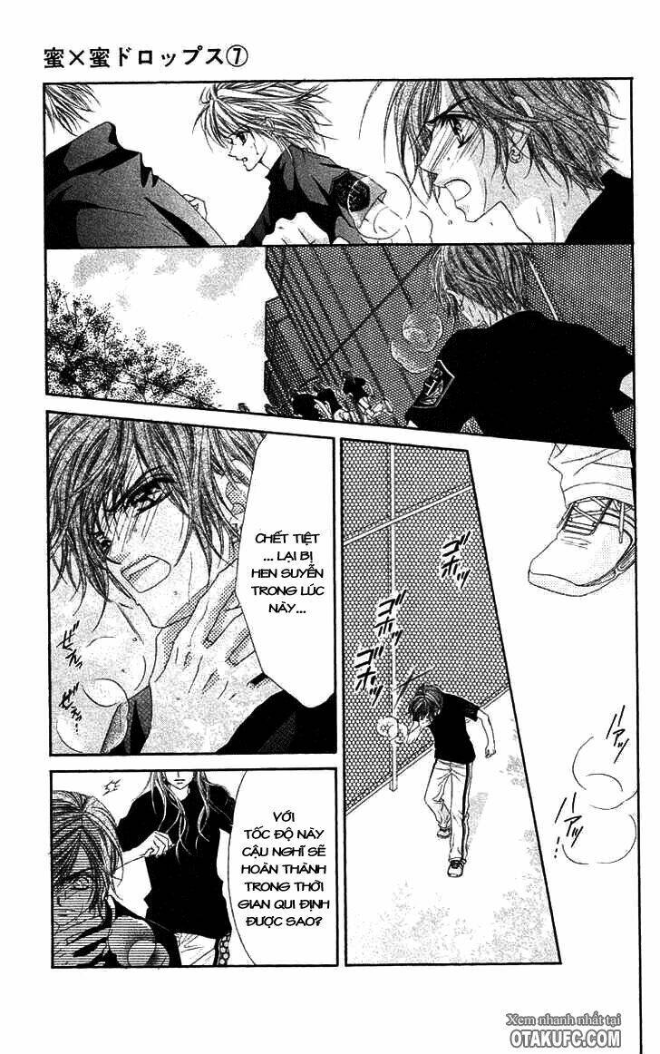 honey x honey drop chapter 41 22