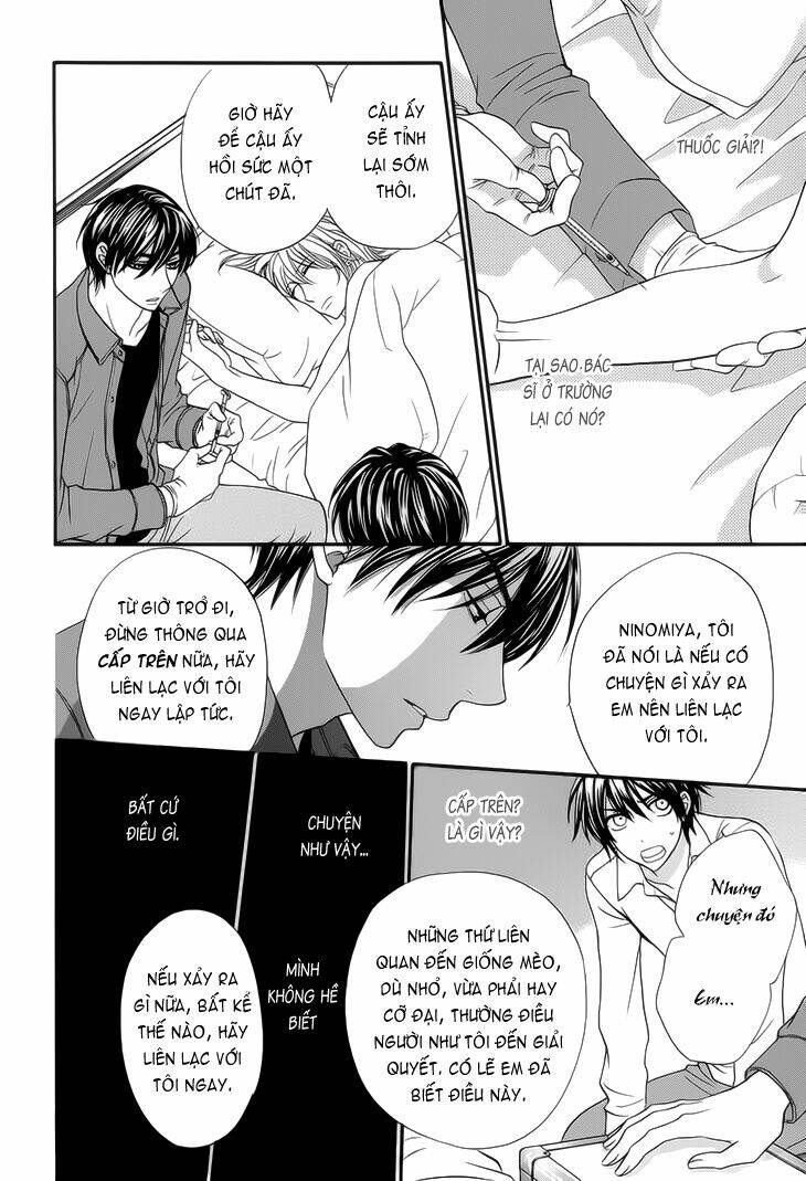 nekoka danshi no shitsukekata chapter 8 29