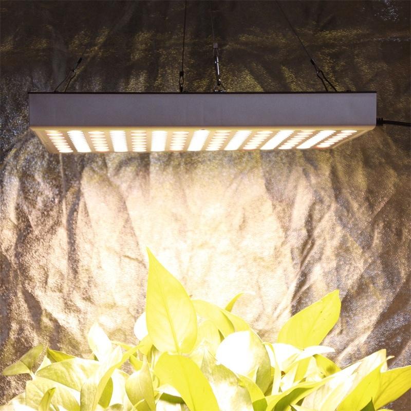 100W Ánh sáng phát triển cây phát triển nhanh Ánh sáng phát triển nhanh đầy đủ LED Quang phổ phát triển Ánh sáng 220V