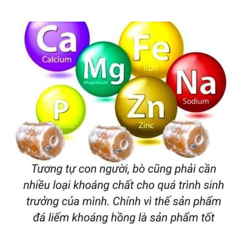 Đá liếm tự nhiên treo cho gia xúc viên từ 2 đến 4kg