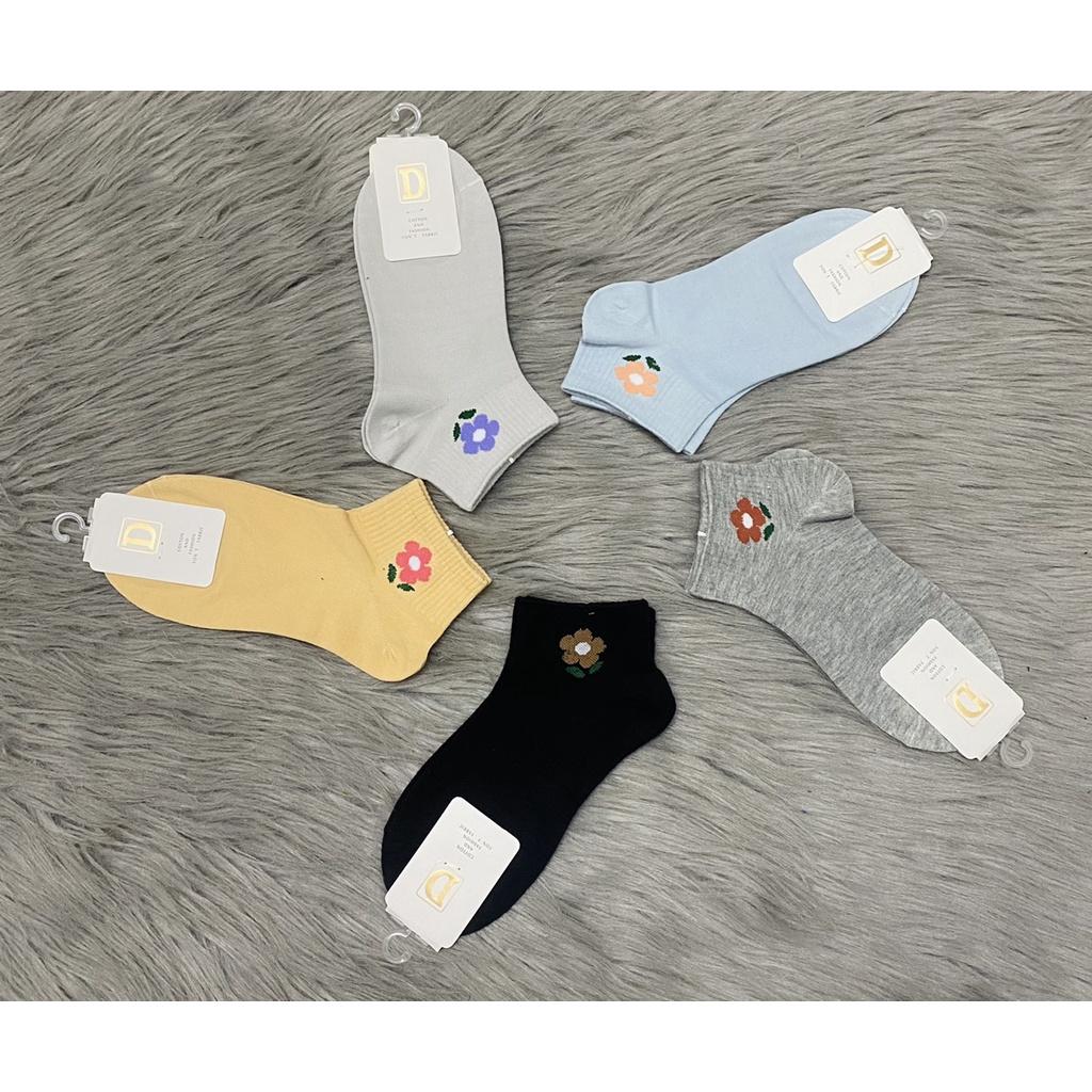 Combo 5 và 10 đôi vớ nữ hình cổ lửng , thun COTTON 100%, giao nhiều hình và màu giao ngẫu nhiên , ảnh thật