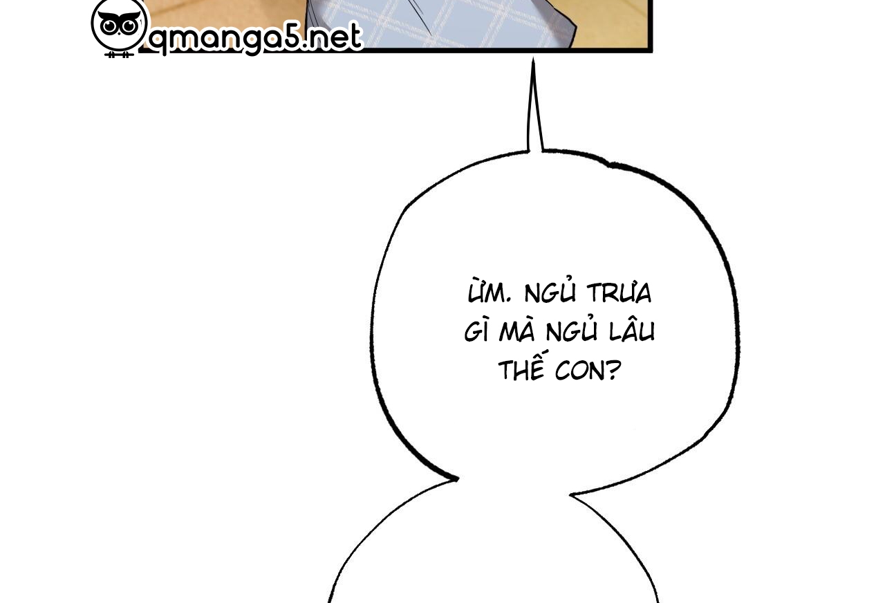 đàn thỏ của habibi chapter 65 17