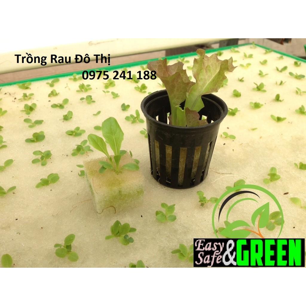 96 viên mút xốp ươm hạt kích thước 25 x 25 x 25mm trồng rau thủy canh