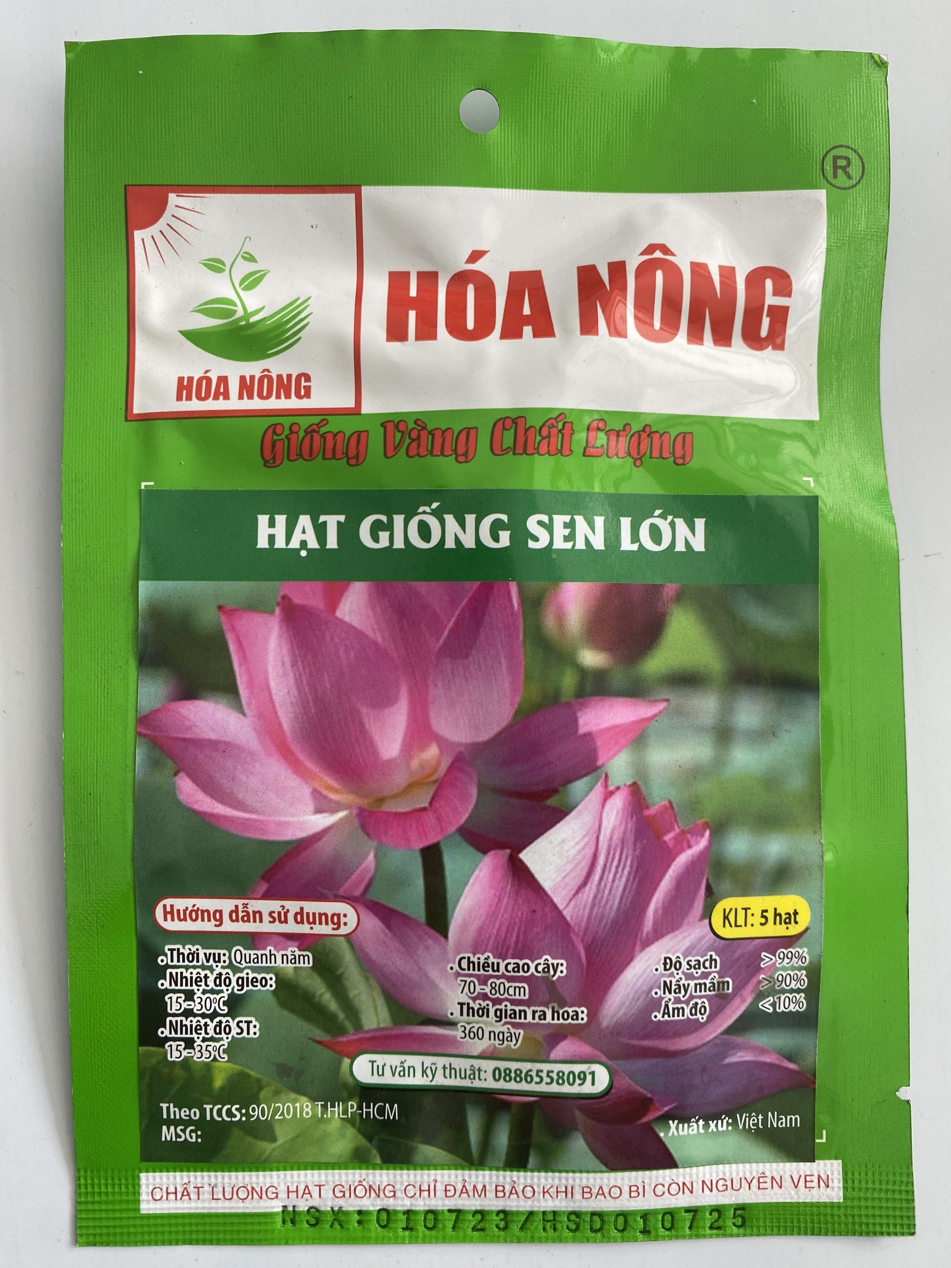Hạt giống Sen Lớn | Hạt Giống | gói 5 hạt