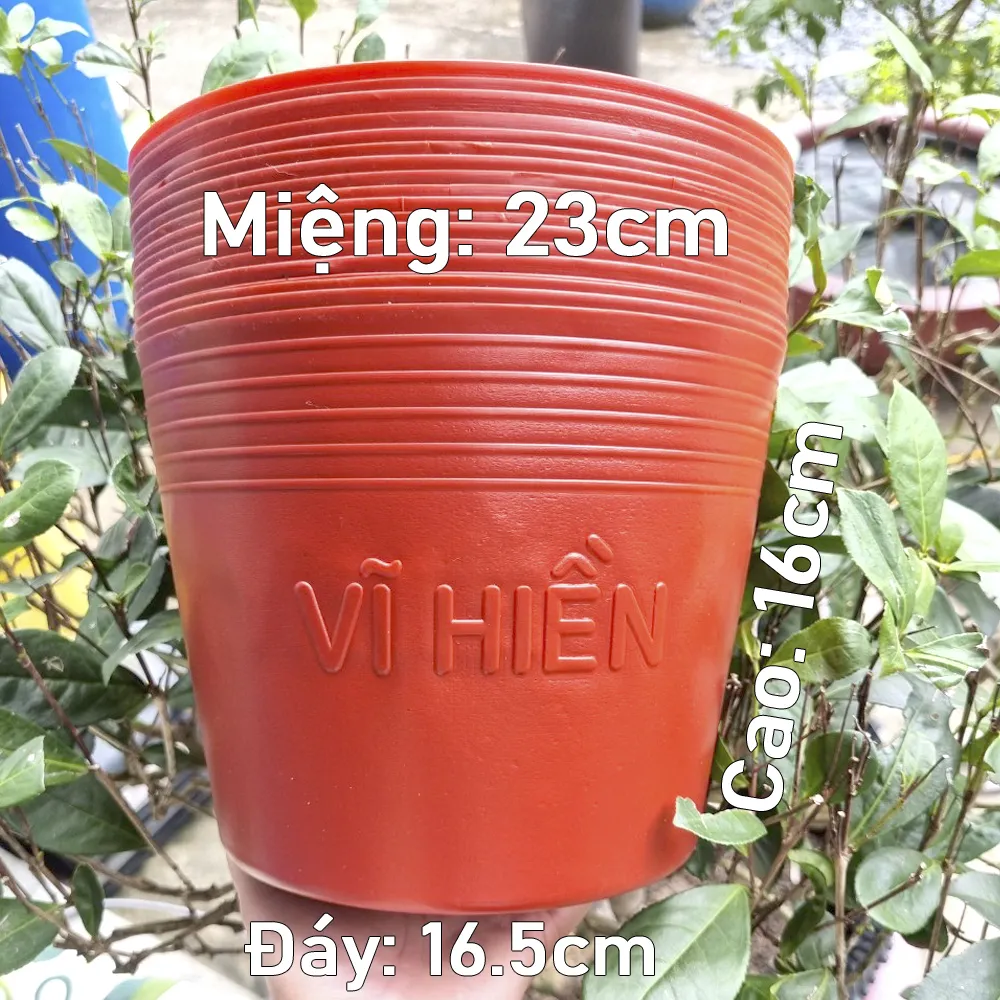 200 Chậu Nhựa Đỏ C9 Miệng,cao,đáy 23x16x16.5cm trồng cây ăn trái và hoa siêu bền-77700