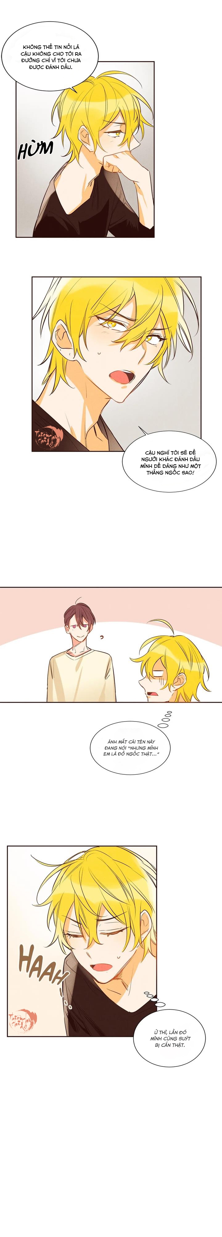 pheromone shower (chim nhại) chapter 9 4