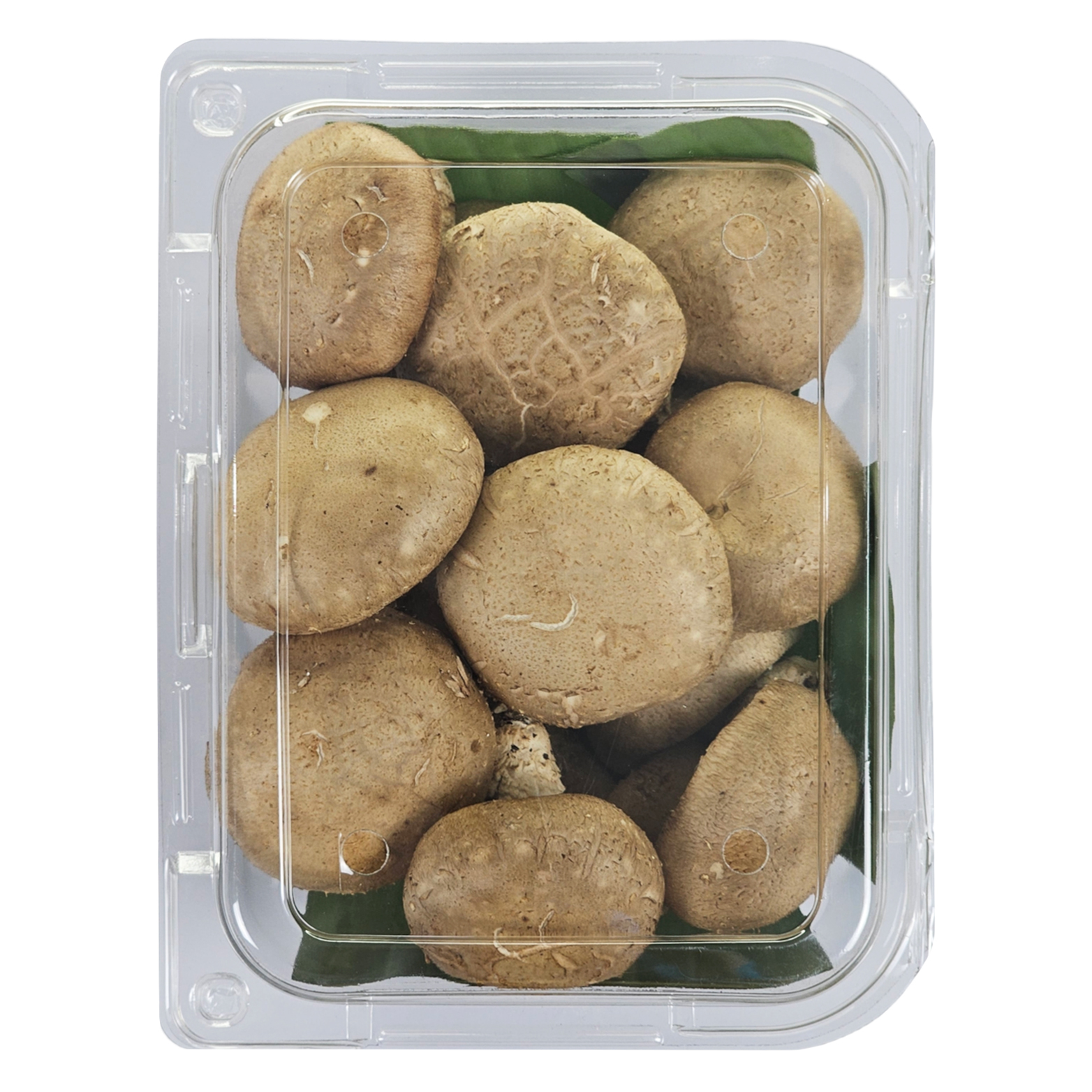 Nấm Hương Tươi 100gr 200gr 500gr - Nông Trại Nấm Xanh