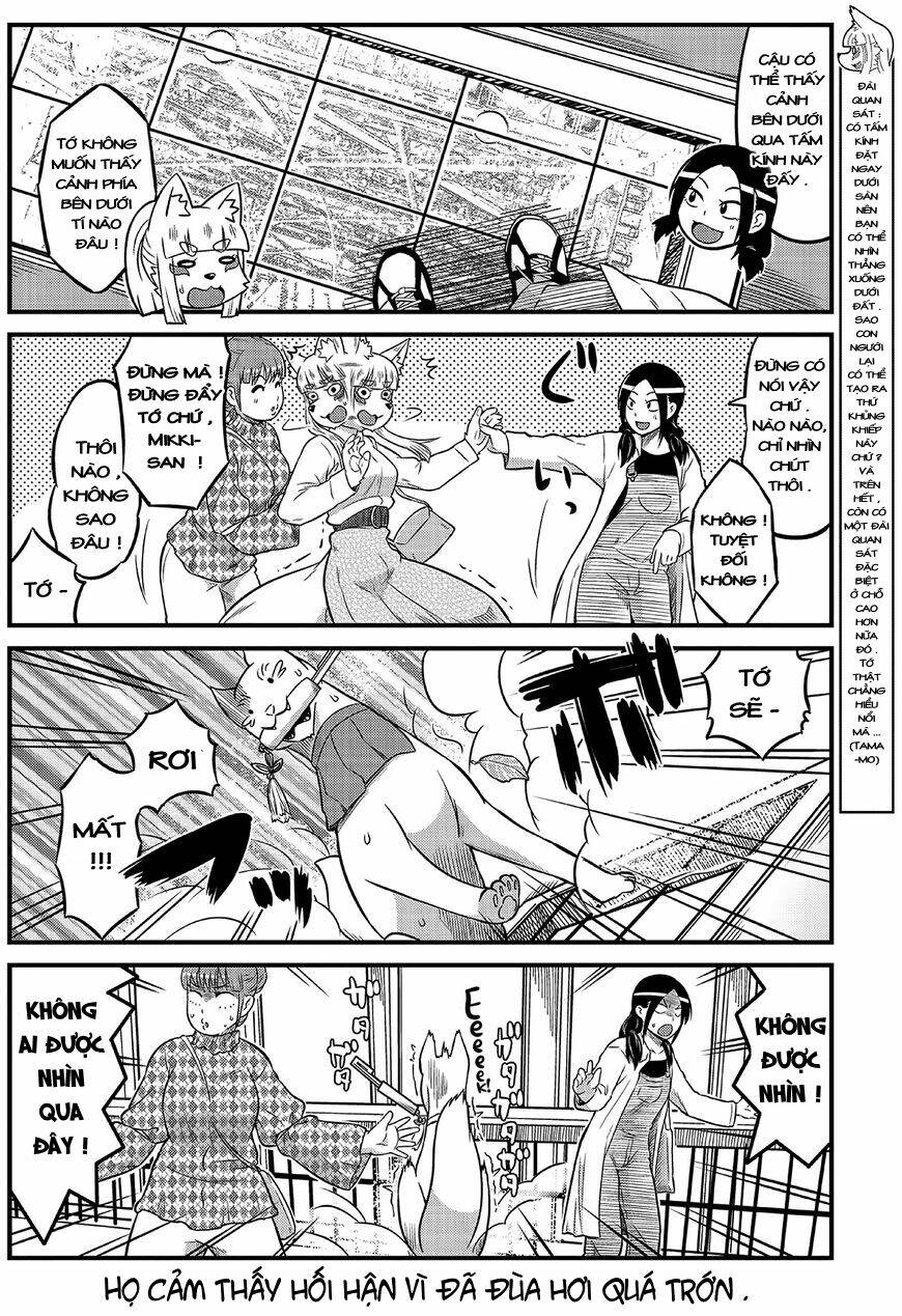 high school inari tamamo-chan ! chapter 9 5