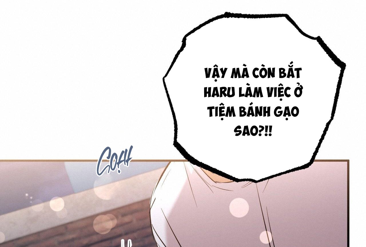 những chú thỏ của hapypy chapter 58 119