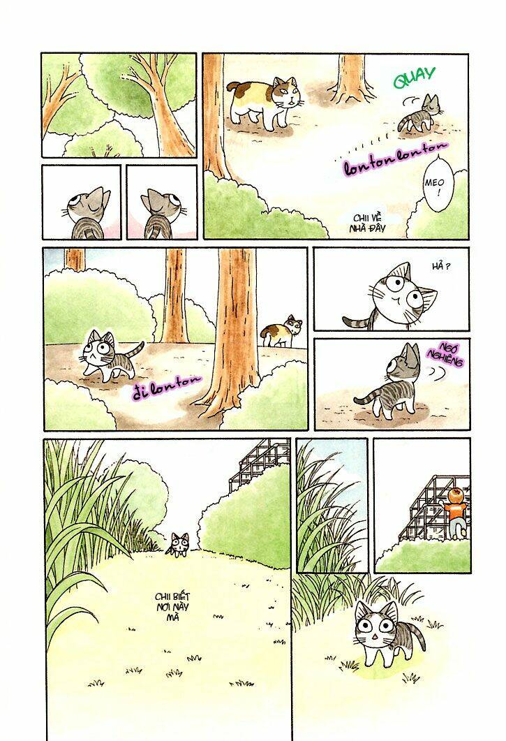 chi's sweet home chapter 84 7