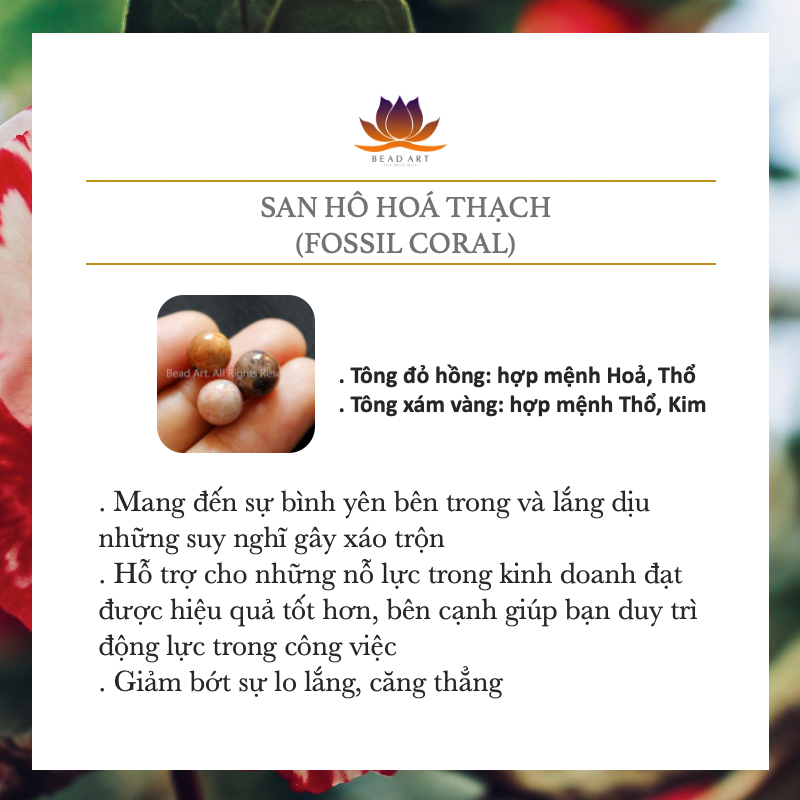 Vòng Tay 6MM Đá San Hô Hoá Thạch, Fossil Coral Tự Nhiên Loại A, Vòng Tay Phong Thuỷ, Chuỗi Hạt - Bead Art