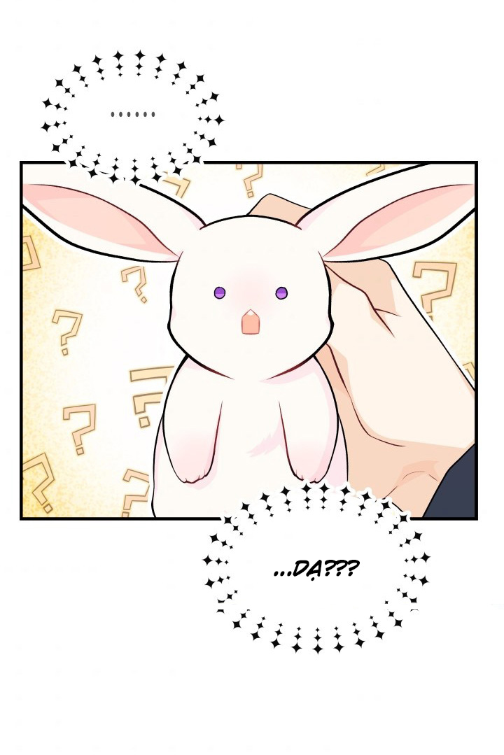 mối liên kết giữa báo đen và bé thỏ chapter 9 37