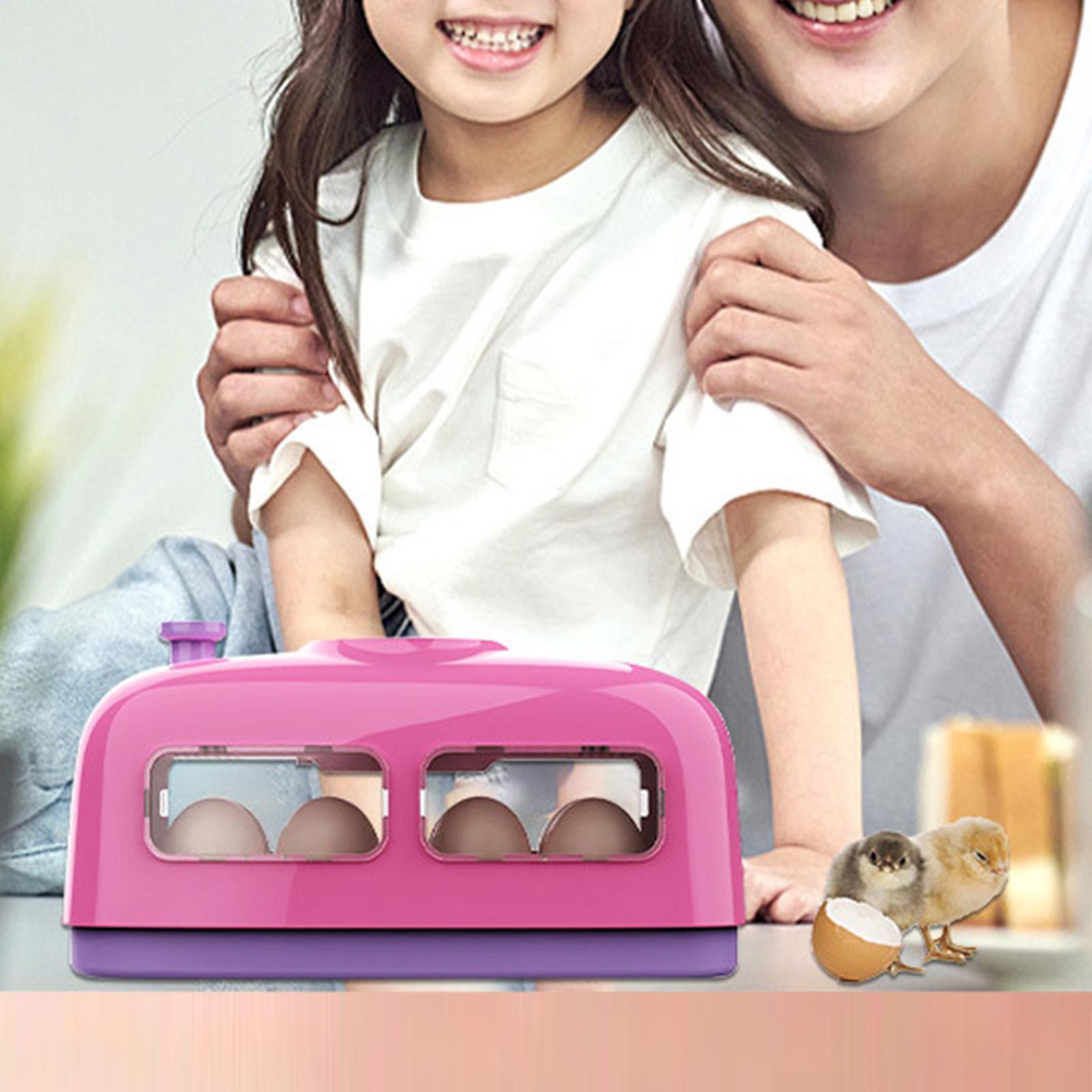 Small Egg Incubator  Digital Manual Egg Turning for   Birds