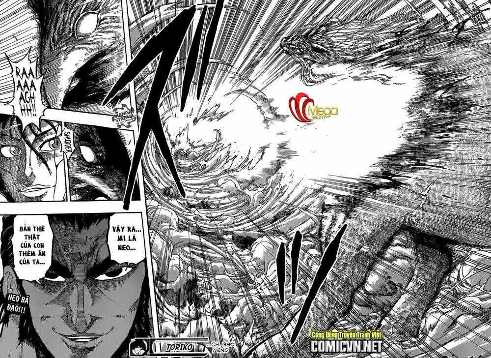 thợ săn ẩm thực chapter 380 17
