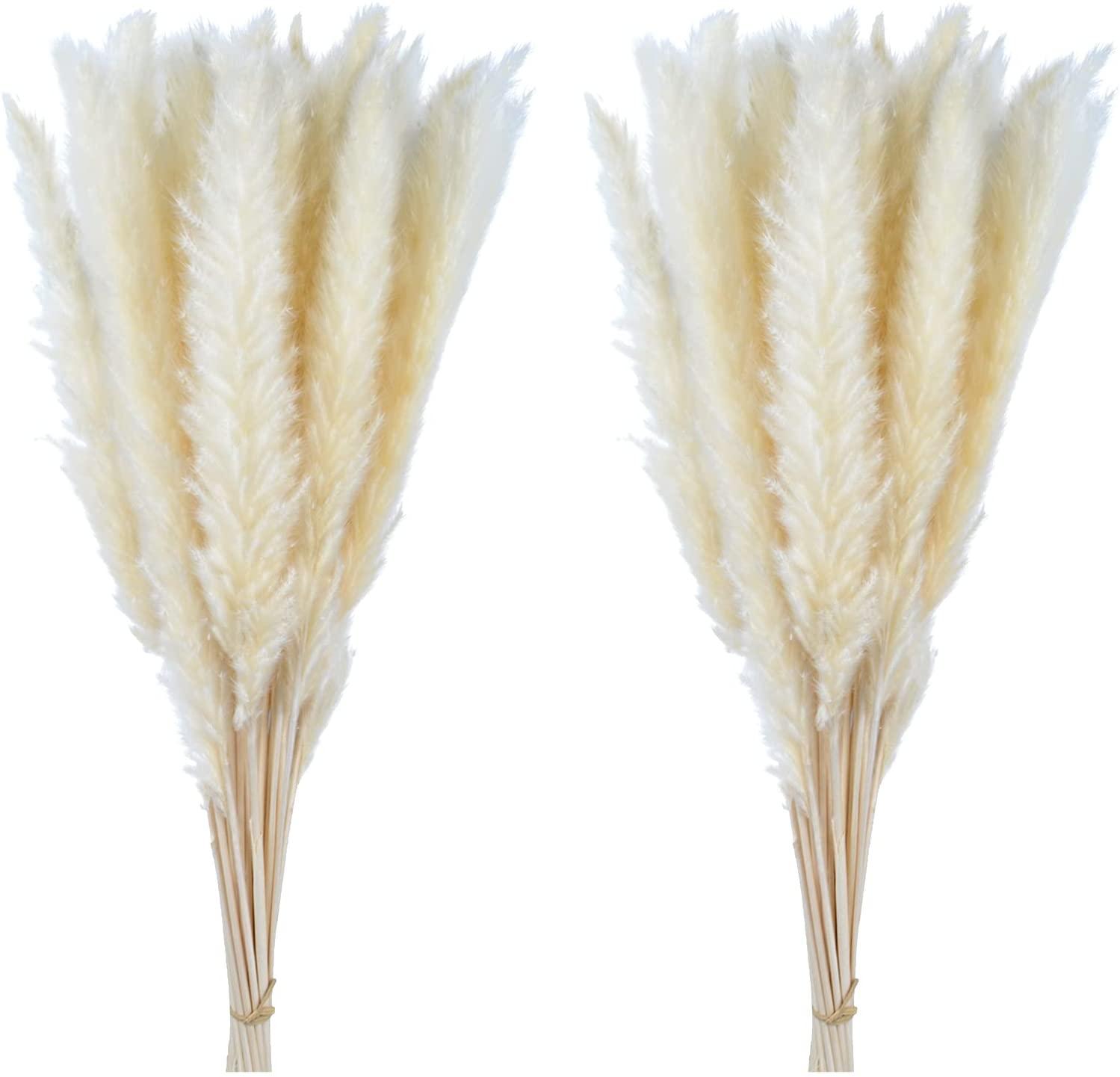 Pampas Cỏ 30 Chiếc Dekoration Hoa Khô Tự Nhiên Sậy Phragmites Chùm Communis Trang Trí Mộc Tặc Đánh Lagurus Ovatus