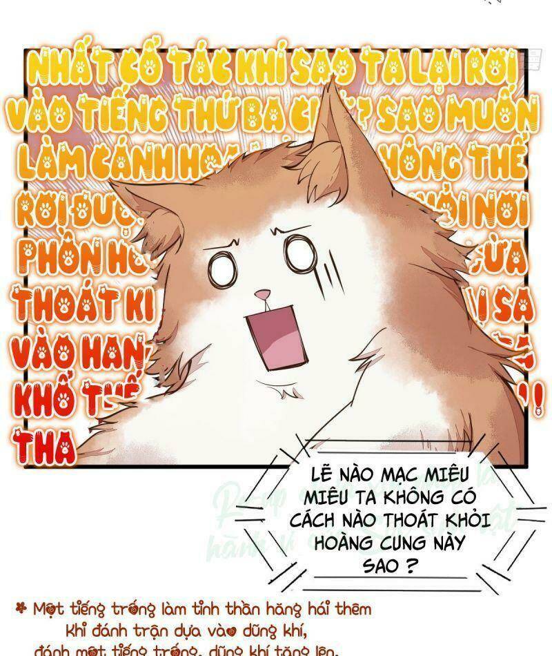 sát thủ vương phi không dễ chọc chapter 35 14