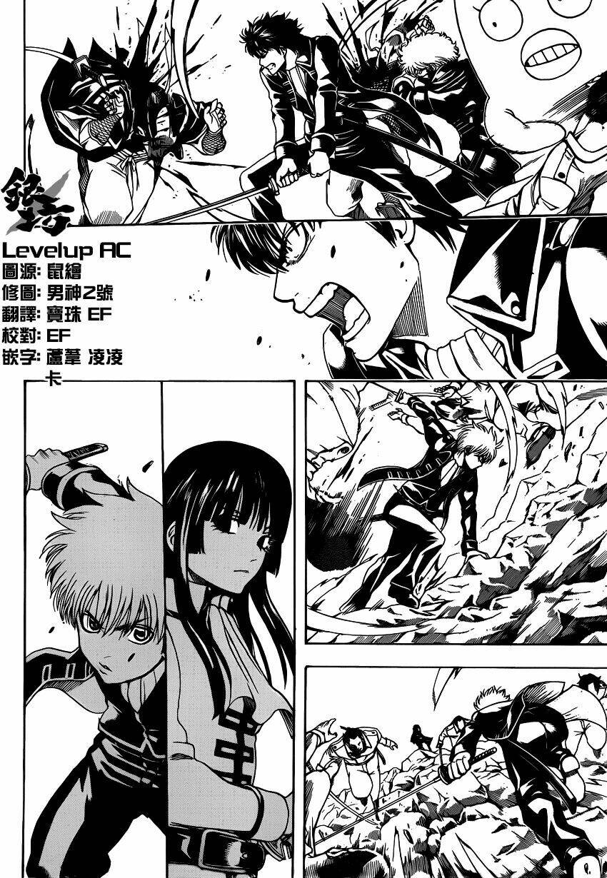 gintama - linh hồn bạc chapter 536 3
