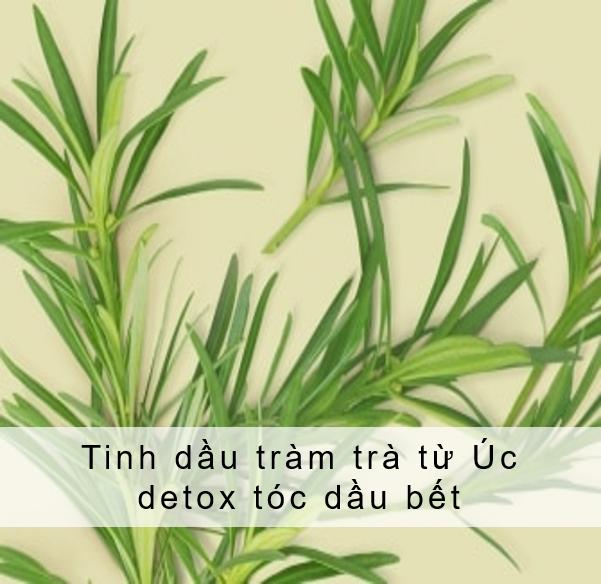 Combo Dầu Gội &amp; Dầu Xả Love Beauty &amp; Planet Sạch Sâu Radical Refresher 100% Tinh Dầu Tràm Trà Úc Hương Cỏ Vetiver 400ML