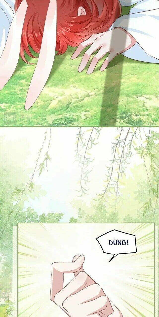 hắc hóa nam chính trực tuyến nuôi thỏ chapter 24 34