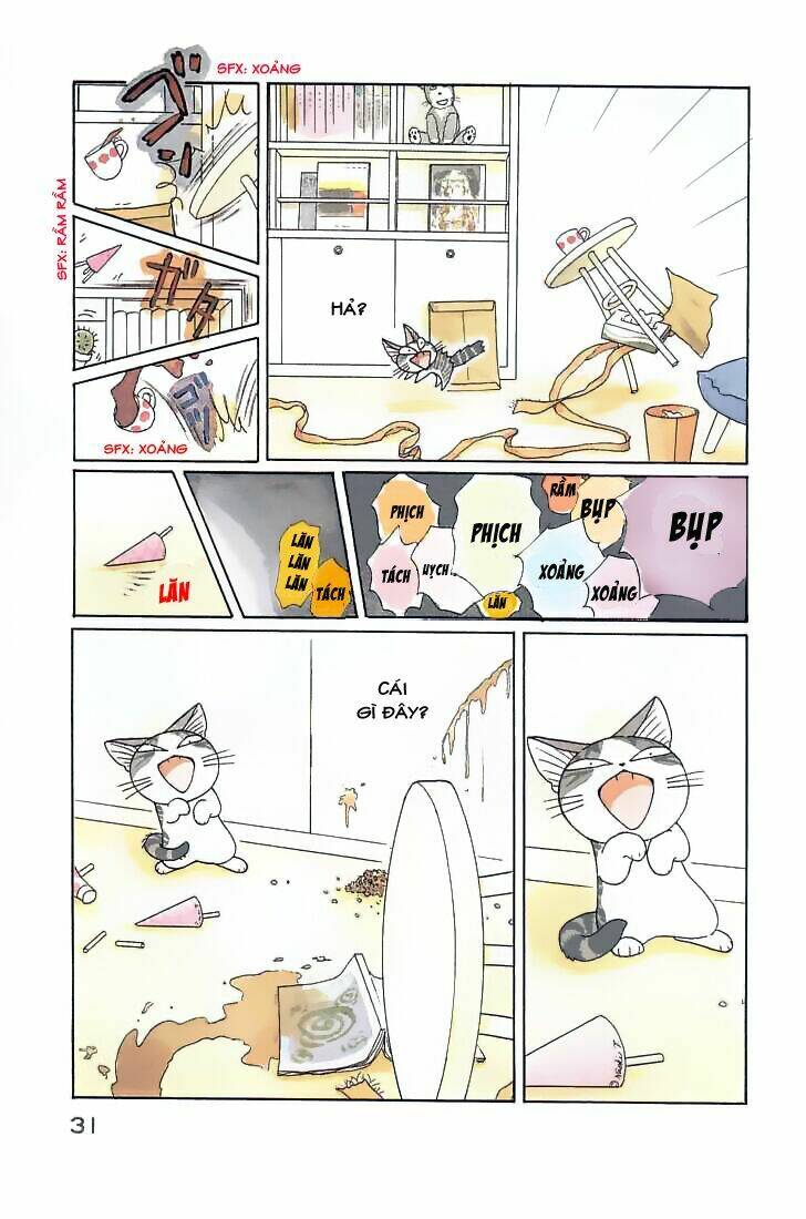 chi's sweet home chapter 78 7