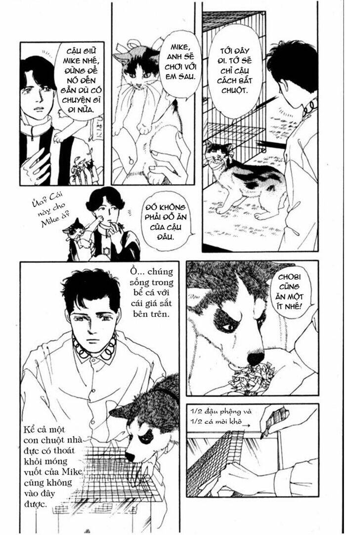 bác sĩ thú y chapter 4 13