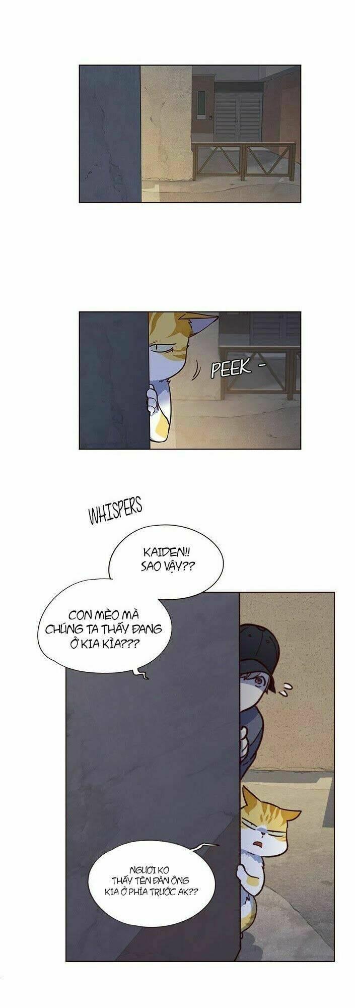 biến thân thành mèo chapter 5 19