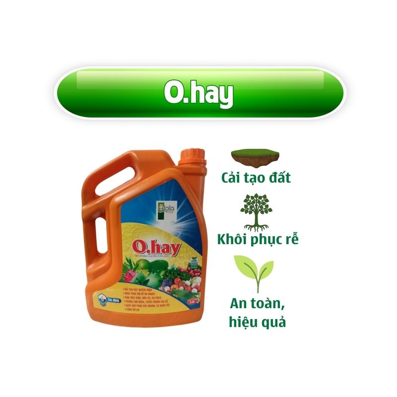 Phân Bón Hữu Cơ Ecom Khôi Phục Bộ Rễ, Cải Tạo Đất Nhiễm Mặn – O.Hay 5 Lít