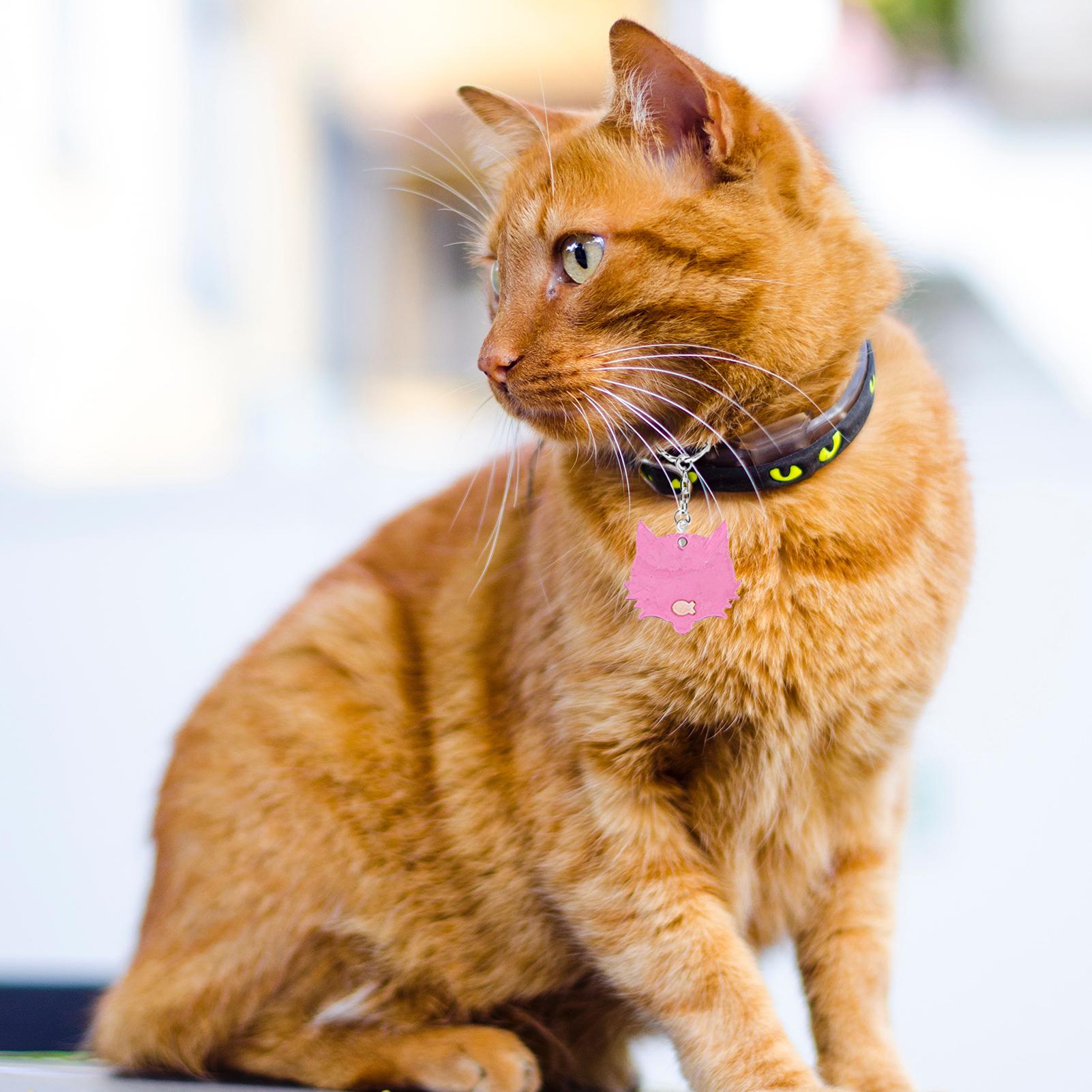 Set 14 Khuôn Hình Con Mèo Và Con Chó Silicone Tag Nhựa Khuôn Móc Khóa Dây Chuyền Diy Thủ Công Tự Làm