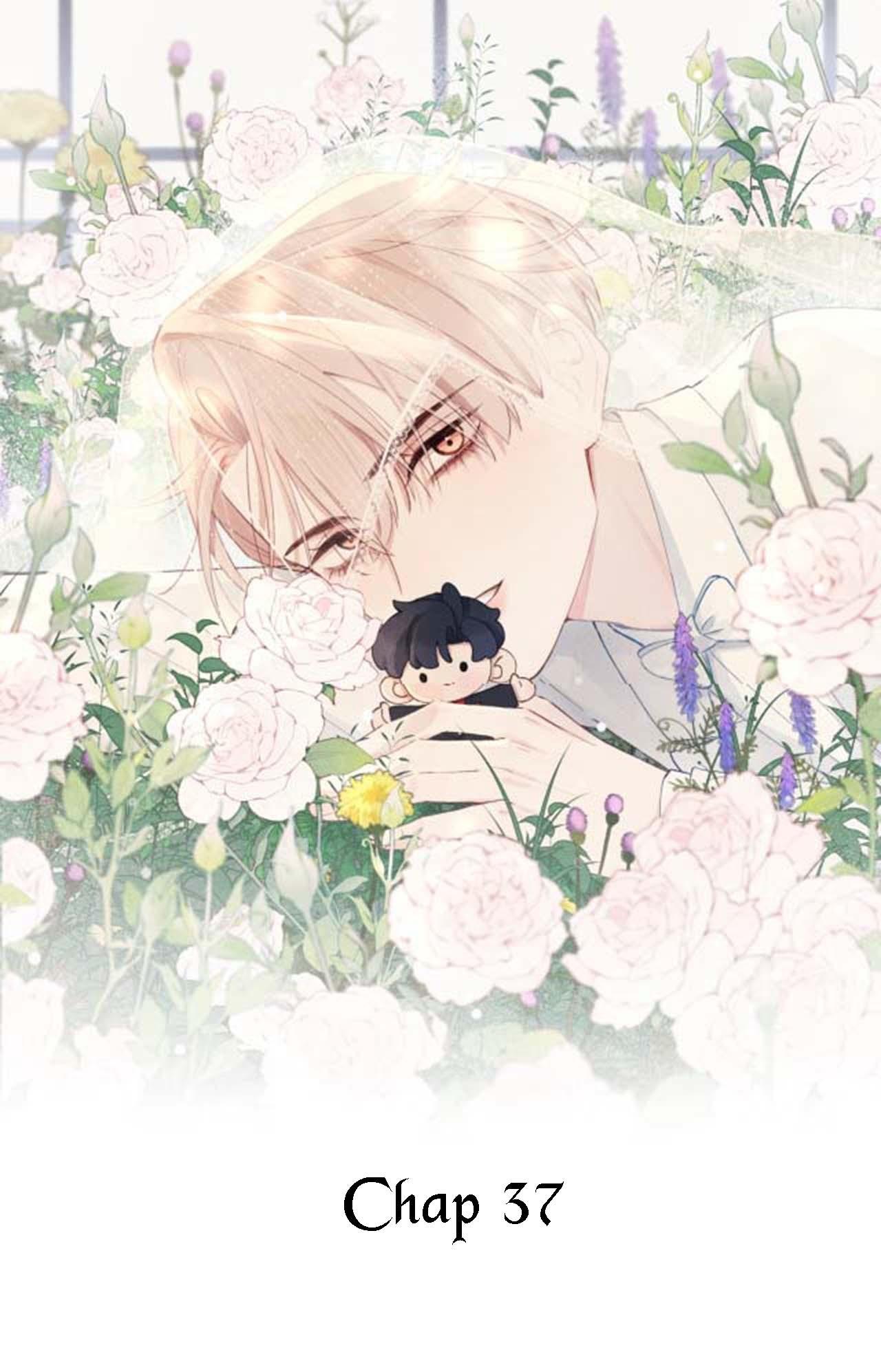 nhật ký thất tình của mr.nhung chapter 37 1