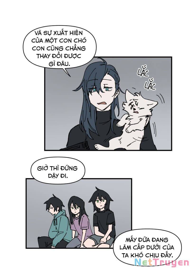 lumine - cội nguồn ánh sáng chapter 157 4