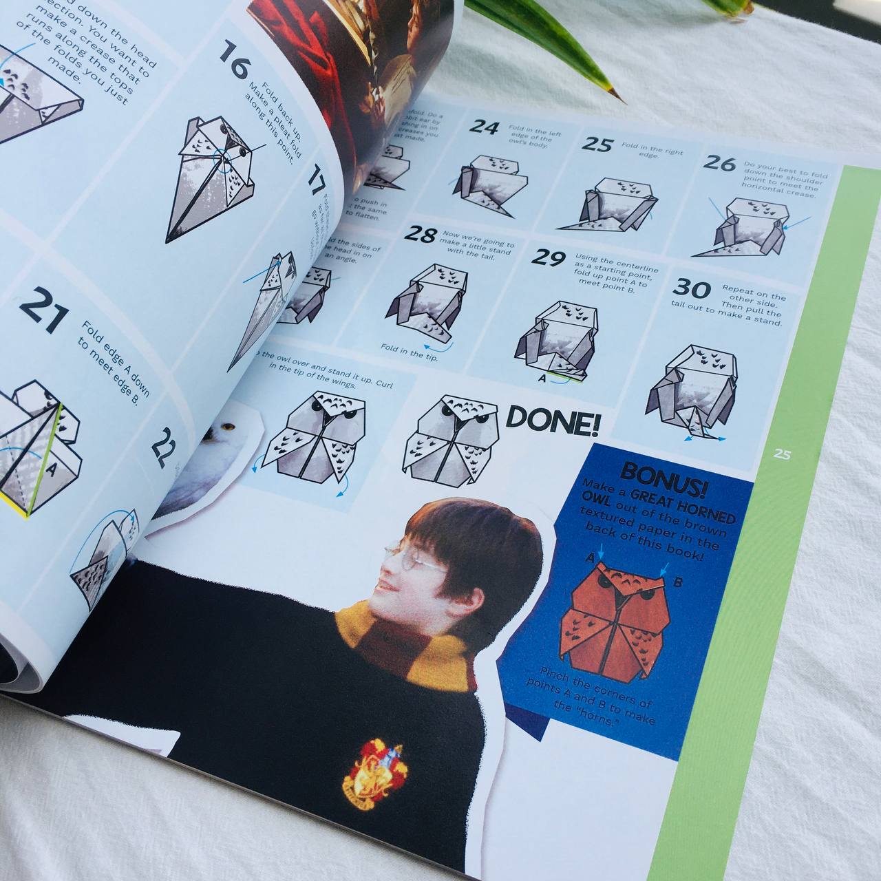 Harry Potter Origami (Harry Potter) (English Book)