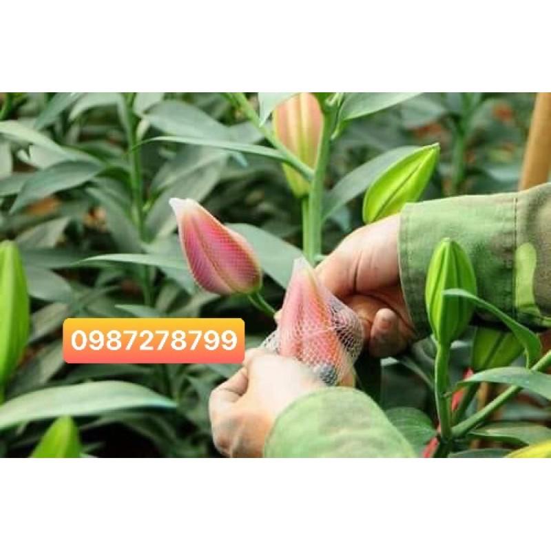 Túi chụp hoa ly bán 100gram